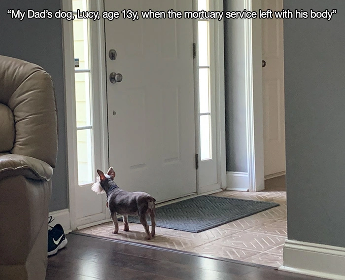 43 Photos That Will Make You See Things Differently