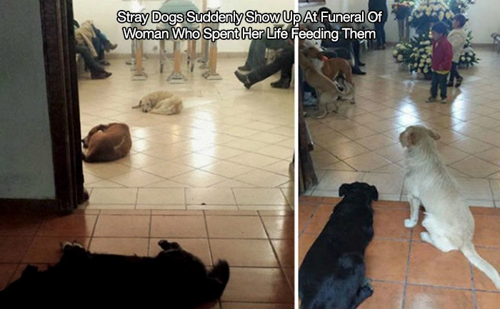 43 Photos That Will Make You See Things Differently