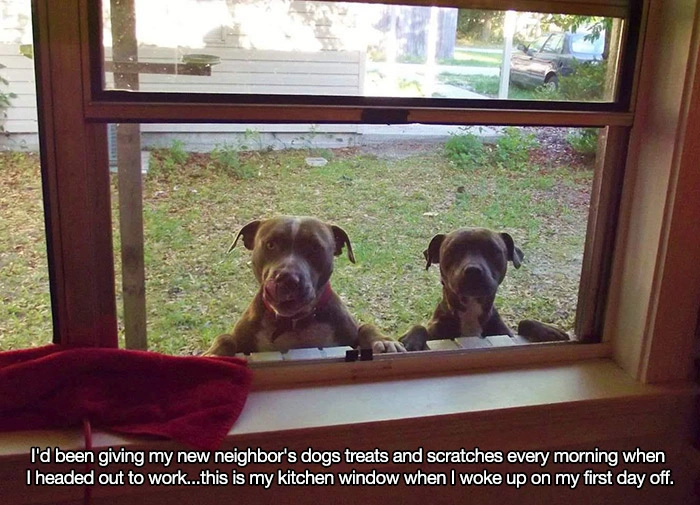 43 Photos That Will Make You See Things Differently