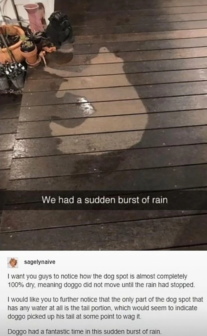43 Photos That Will Make You See Things Differently
