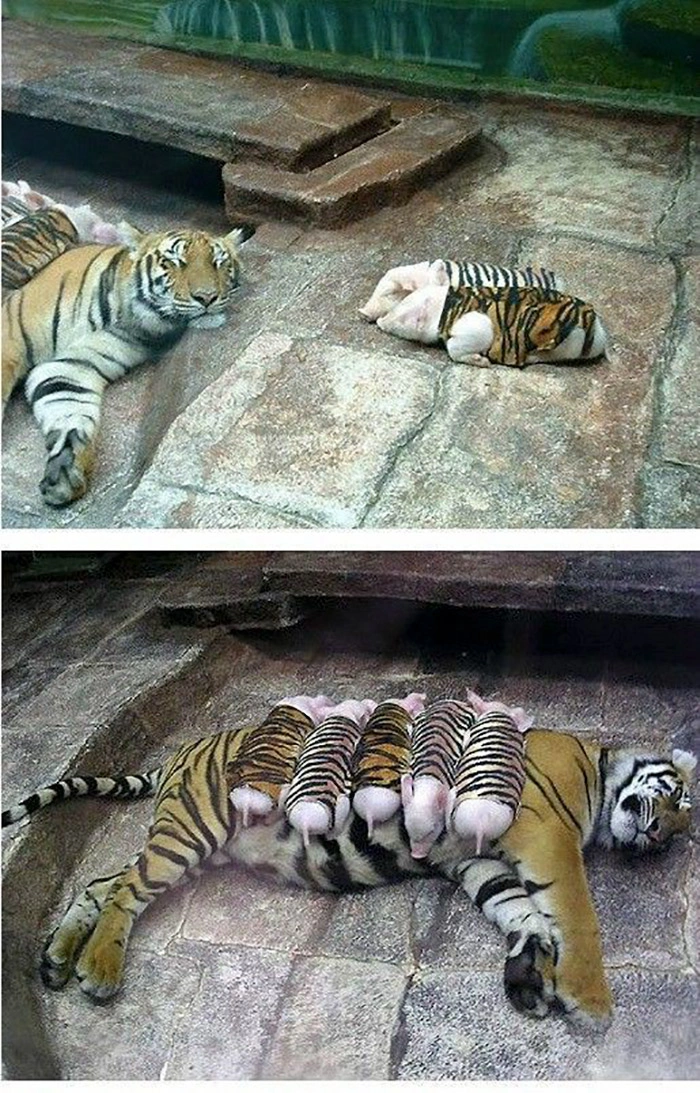 43 Photos That Will Make You See Things Differently