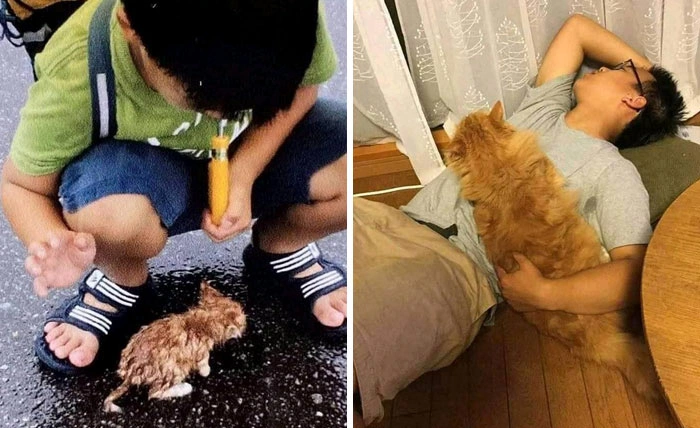 43 Photos That Will Make You See Things Differently