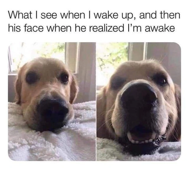 66 Uplifting Images to Brighten Your Day