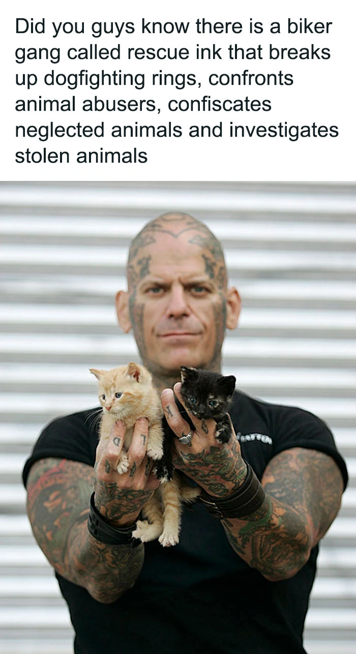 23 Rebels Who Attempted to Make a Positive Impact Through Chaos