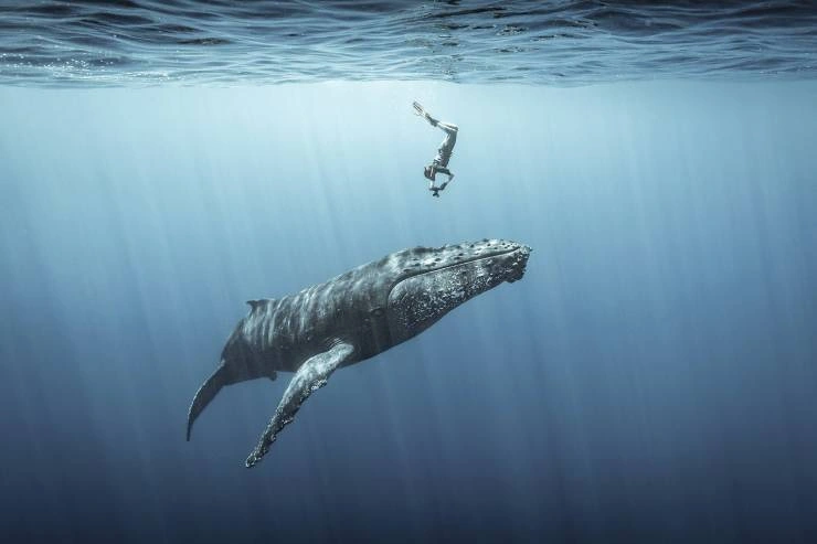 51 Captivating Images That Speak Volumes