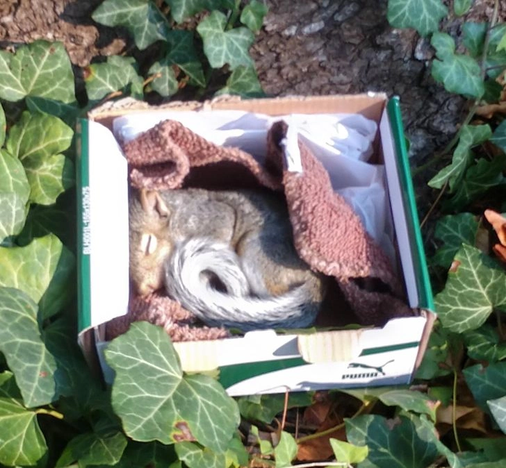 15 Truly Kind Individuals Making a Positive Impact