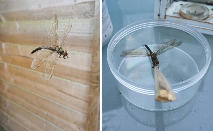 15 Truly Kind Individuals Making a Positive Impact