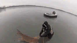 35 Heartwarming Photos That Will Make You Smile