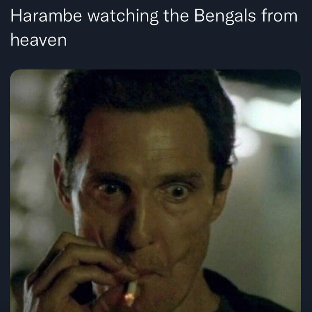 22 Hilarious Super Bowl Memes to Kick Off Victory Monday