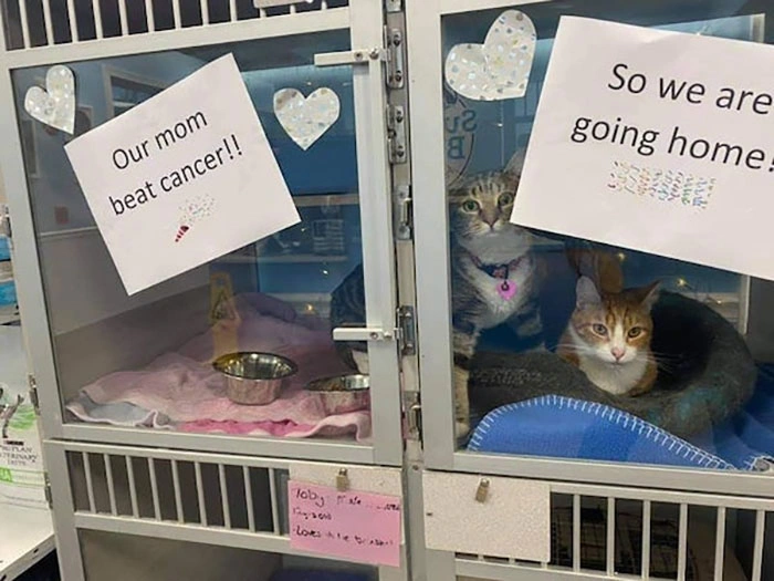 19 Heartwarming Images to Inspire Us to Appreciate the Beauty of Life