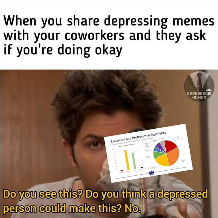 24 Melancholic Memes for the Downtrodden