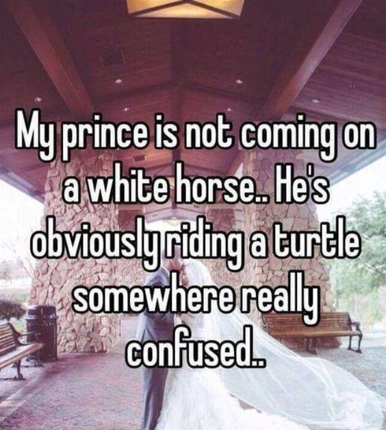 25 Hilarious Memes That Perfectly Sum Up the Single Life