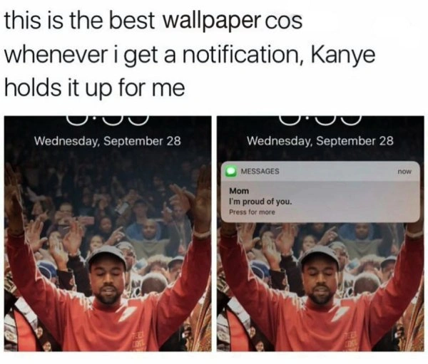 62 Feel-Good Friday Memes and Pictures to Brighten Your Day