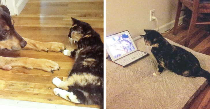34 Heartwarming Images Guaranteed to Touch Your Soul