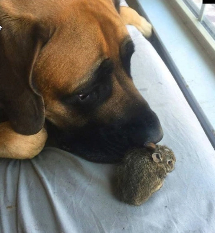 34 Heartwarming Images Guaranteed to Touch Your Soul