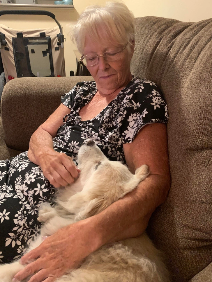 34 Heartwarming Images Guaranteed to Touch Your Soul