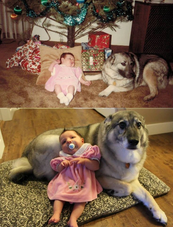 34 Heartwarming Images Guaranteed to Touch Your Soul