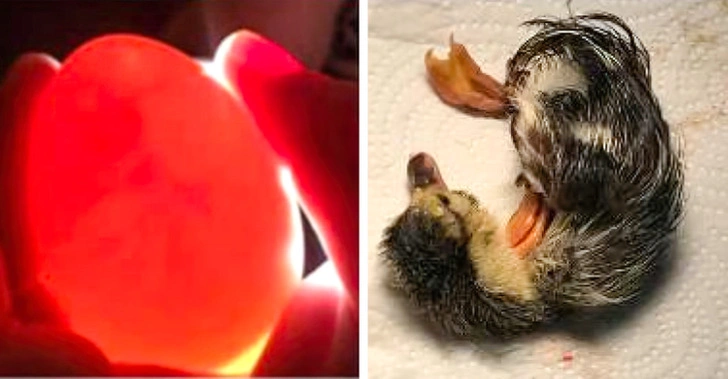 34 Heartwarming Images Guaranteed to Touch Your Soul