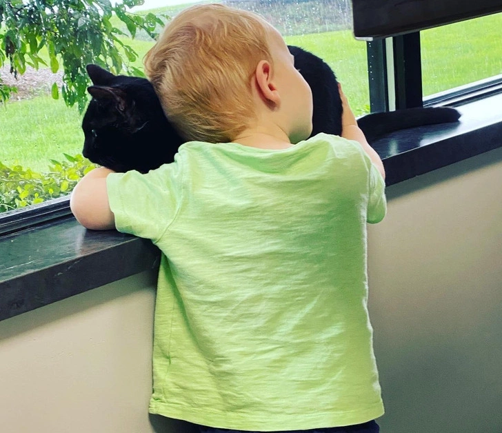 34 Heartwarming Images Guaranteed to Touch Your Soul
