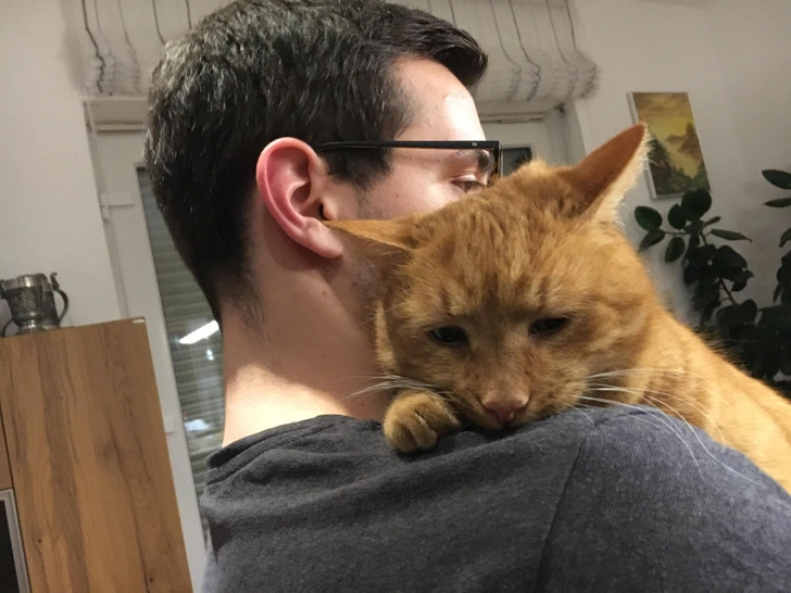 34 Heartwarming Images Guaranteed to Touch Your Soul