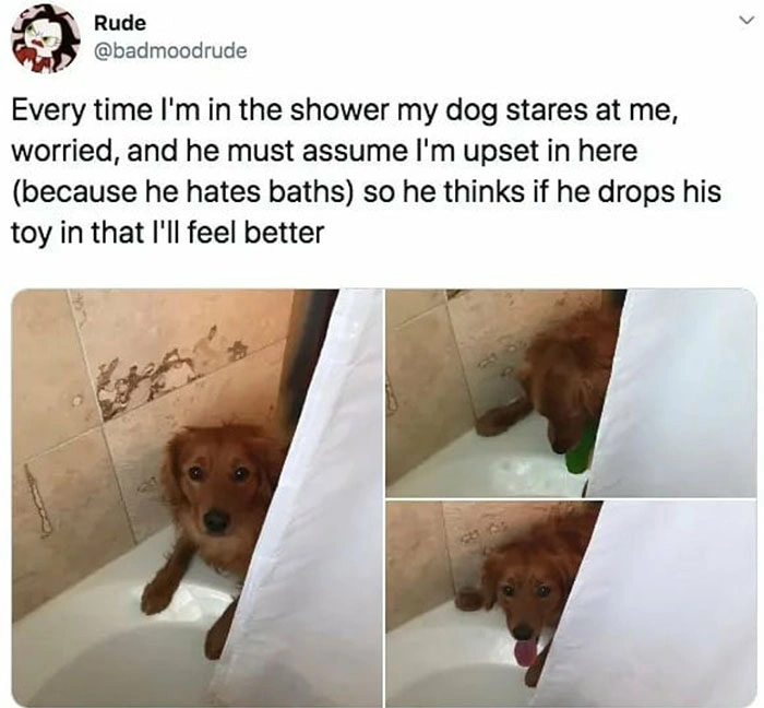 32 Heartwarming Images to Brighten Your Day and Appreciate the Beauty of Life