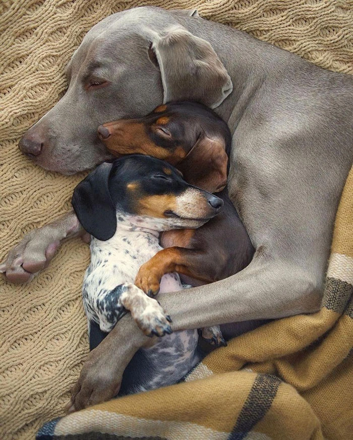 32 Heartwarming Images to Brighten Your Day and Appreciate the Beauty of Life
