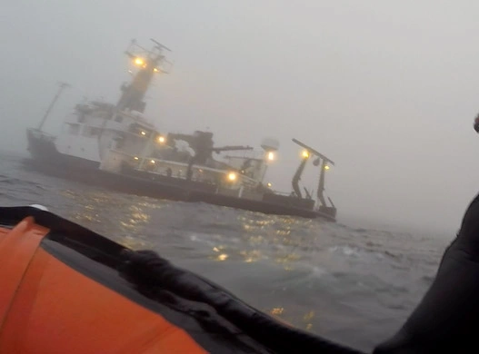 Bizarre Encounters: Unusual Experiences of Sailors on the High Seas