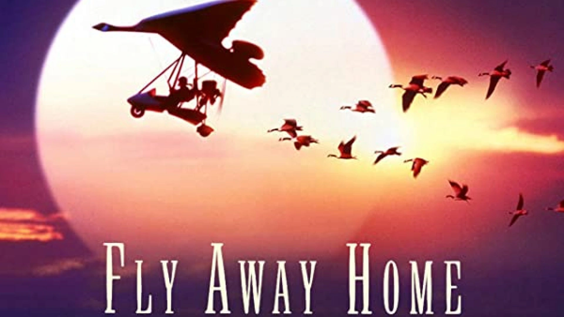 24 Classic Kids' Movies That Have Slipped From Our Memories