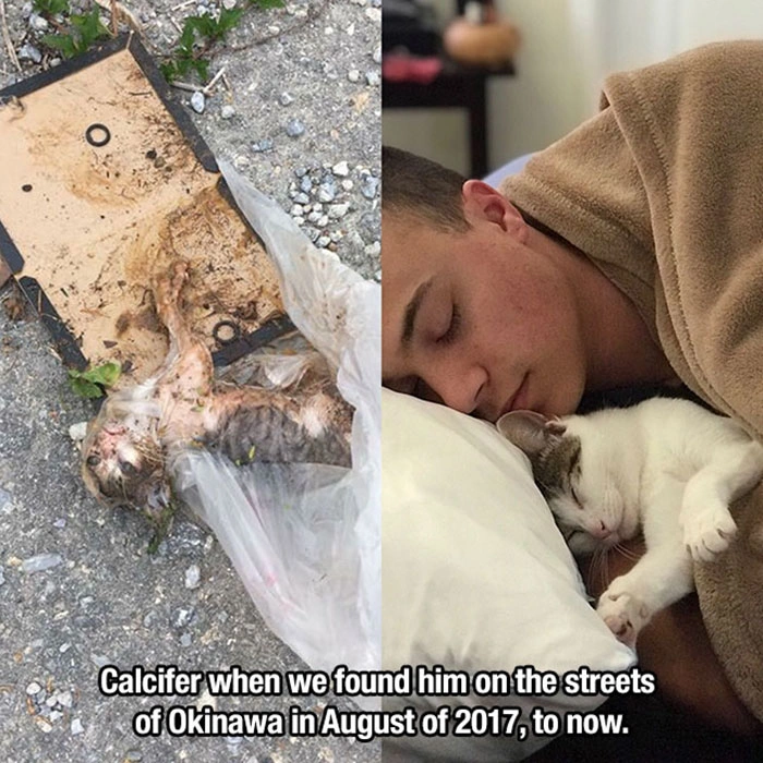 19 Heartwarming Images to Reaffirm the Beauty of Life