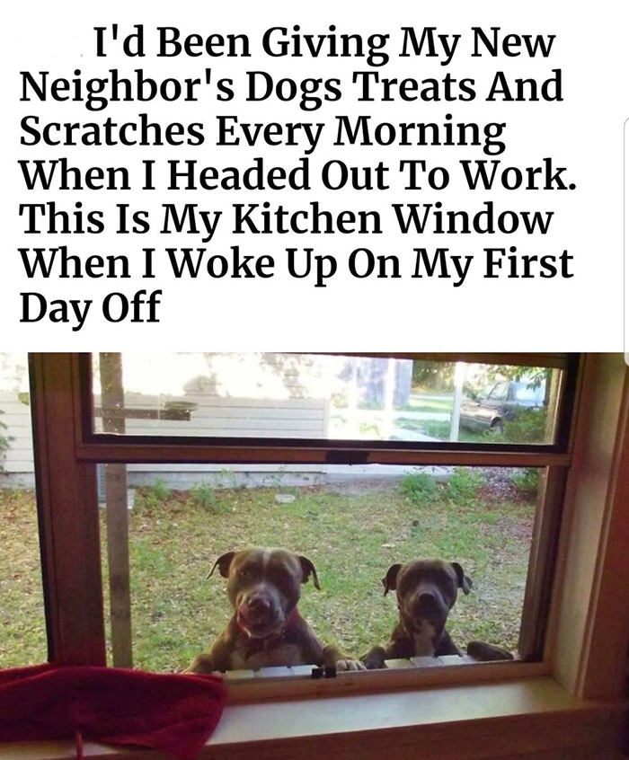 19 Heartwarming Images to Reaffirm the Beauty of Life