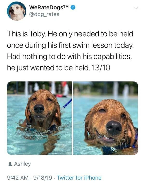 Escape with These 16 Heartwarming Tales for a Refreshing Pause