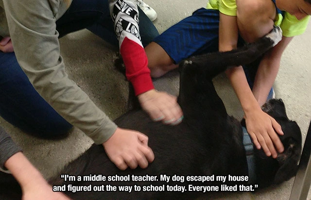 17 Heartwarming Pictures Overflowing With Emotions