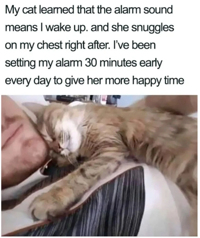24 Photos that Will Warm Your Heart