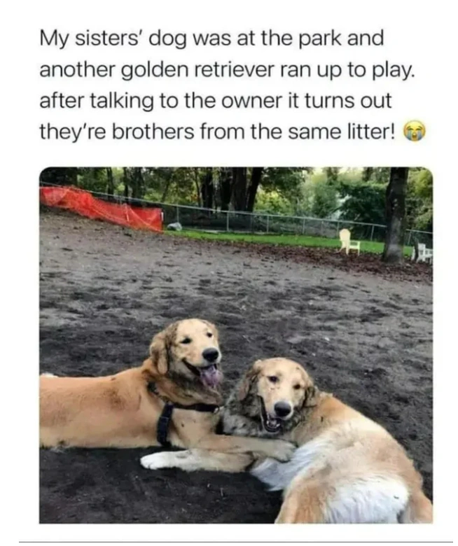 24 Photos that Will Warm Your Heart