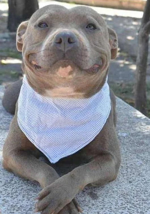 24 Photos that Will Warm Your Heart