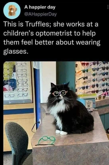 24 Photos that Will Warm Your Heart