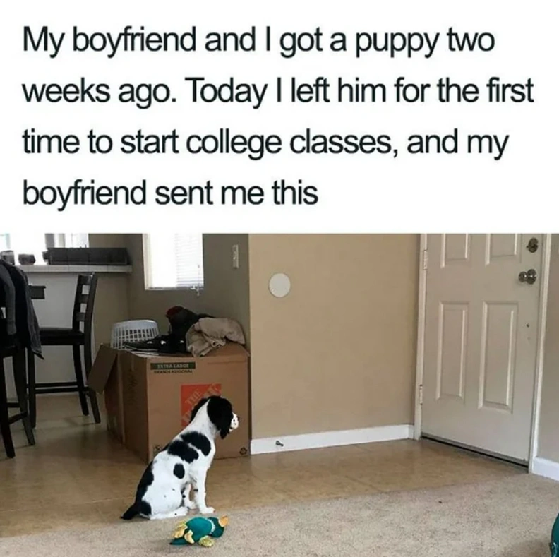 24 Photos that Will Warm Your Heart