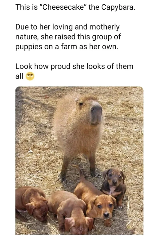 24 Photos that Will Warm Your Heart