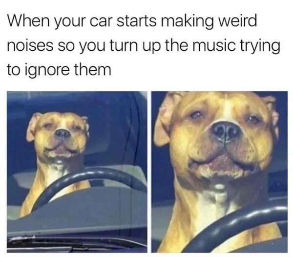 33 Memes That Will Make You Question Everything