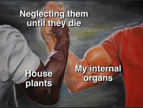 33 Memes That Will Make You Question Everything