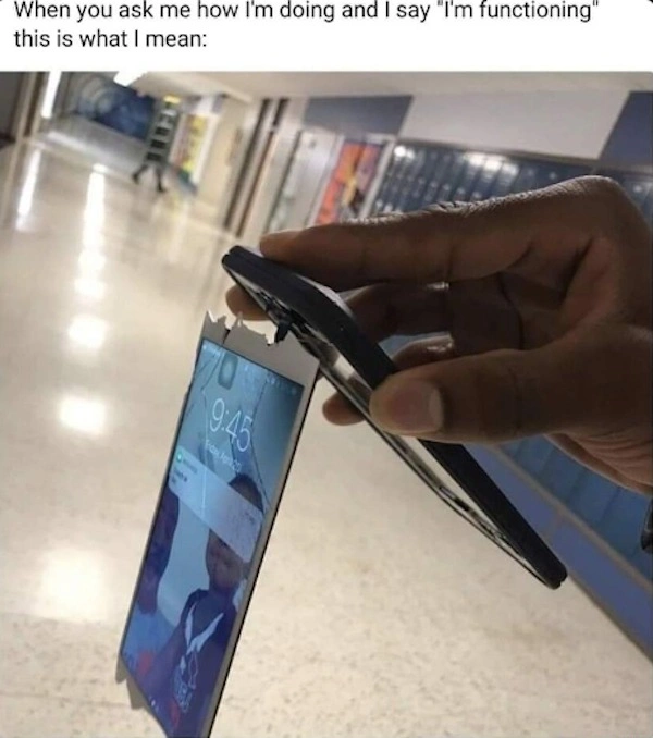 33 Memes That Will Make You Question Everything