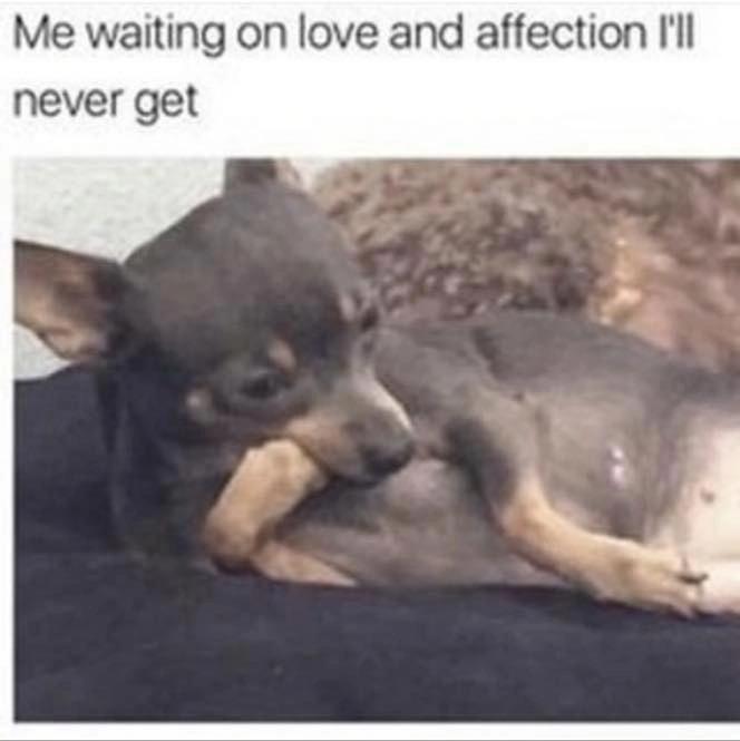 Celebrate International Day of Happiness with 25 Memes Guaranteed to Bring a Tear to Your Eye