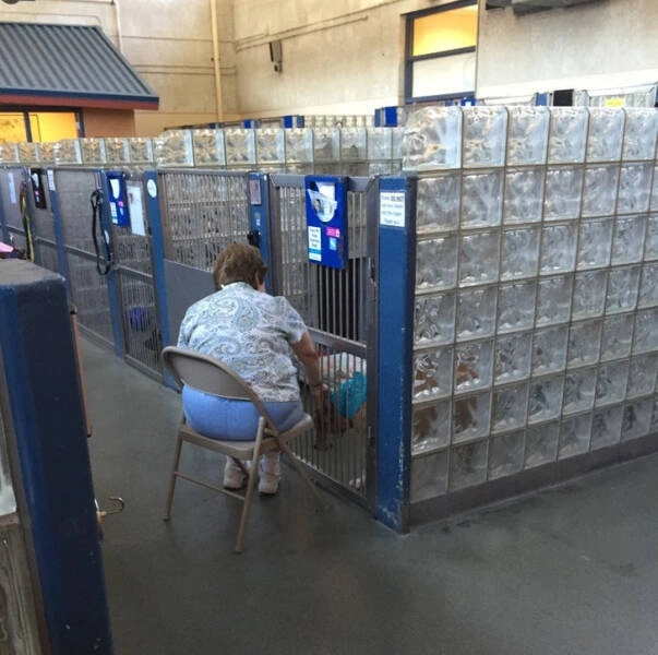 31 Heartwarming Images Guaranteed to Brighten Your Day