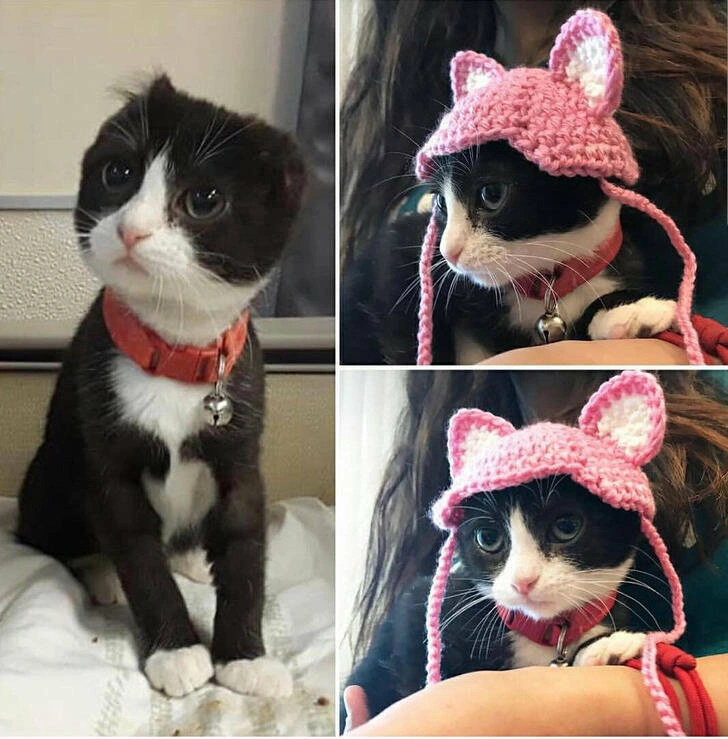 31 Heartwarming Images Guaranteed to Brighten Your Day