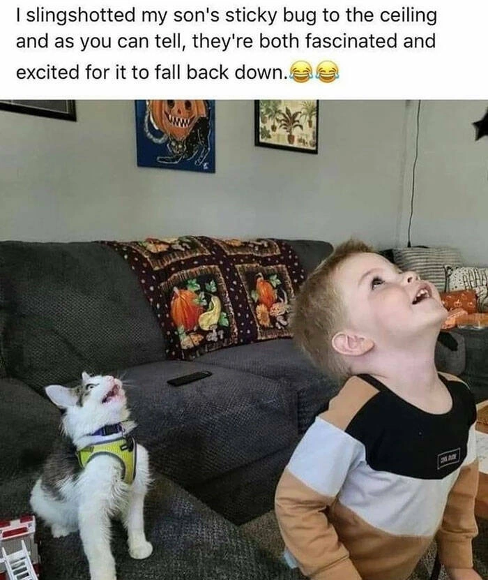 31 Heartwarming Images Guaranteed to Brighten Your Day