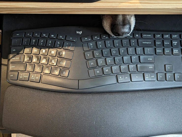 31 Heartwarming Images Guaranteed to Brighten Your Day