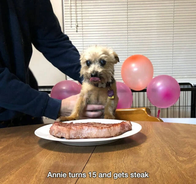 31 Heartwarming Images Guaranteed to Brighten Your Day
