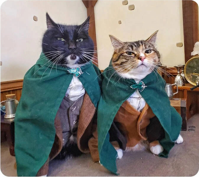 31 Heartwarming Images Guaranteed to Brighten Your Day