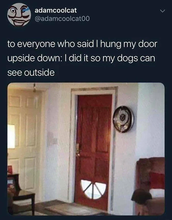 31 Heartwarming Images Guaranteed to Brighten Your Day