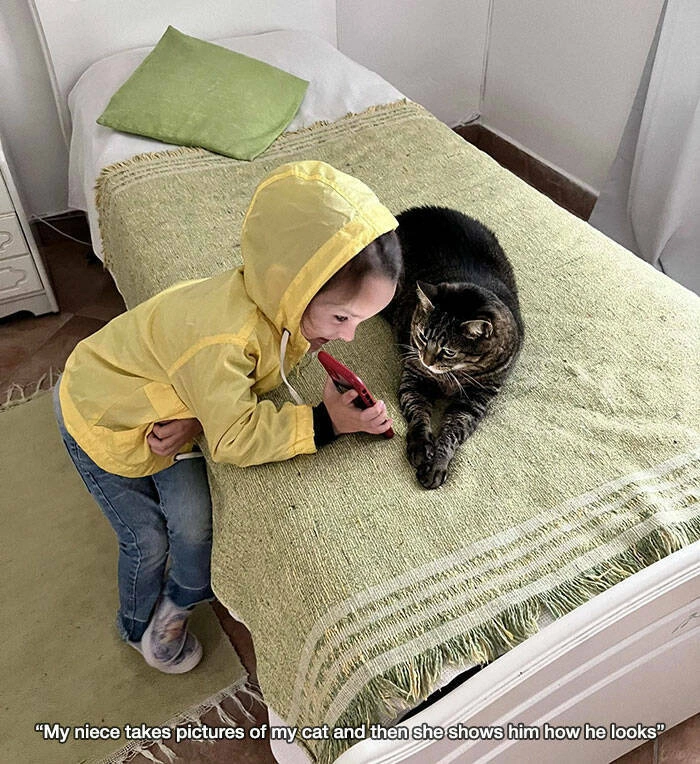 31 Heartwarming Images Guaranteed to Brighten Your Day